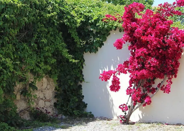 Hotel Les Orangers